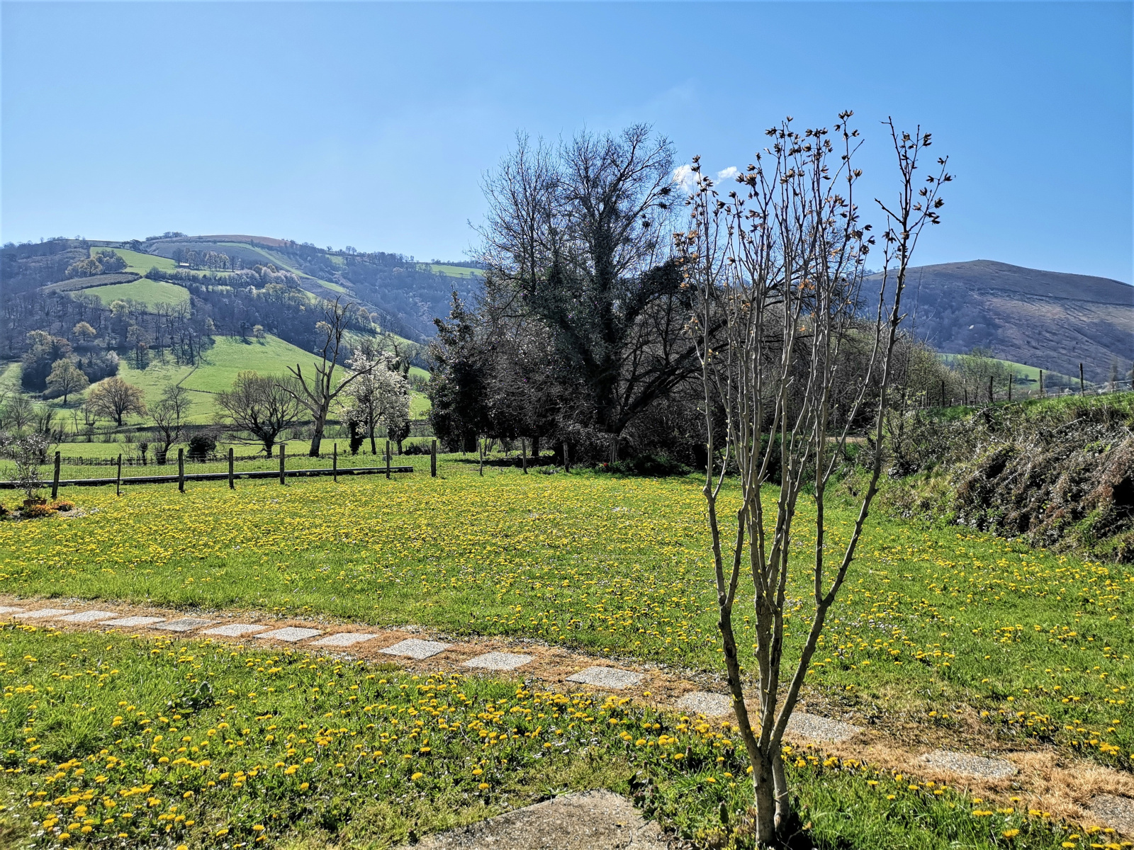 Image_, Appartement, Pagolle, ref :G-0017-01