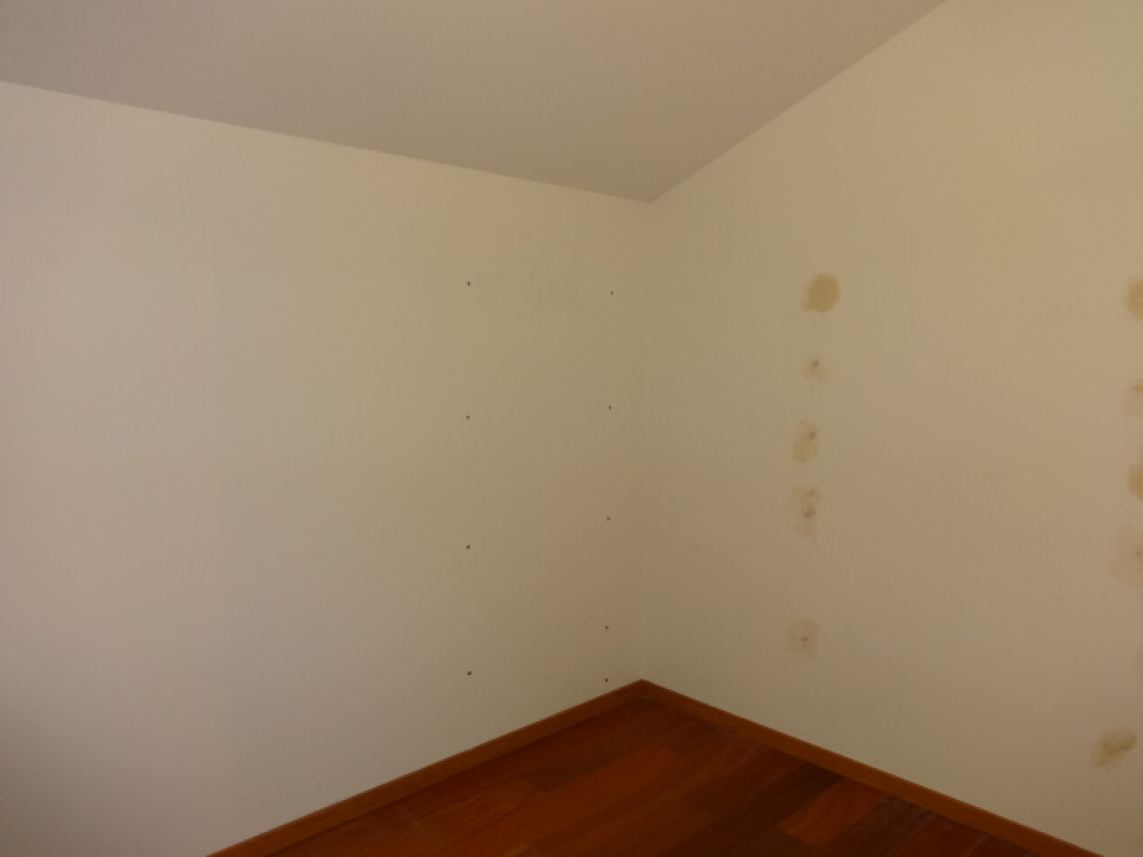 Image_, Maison, Saint-Palais, ref :6155
