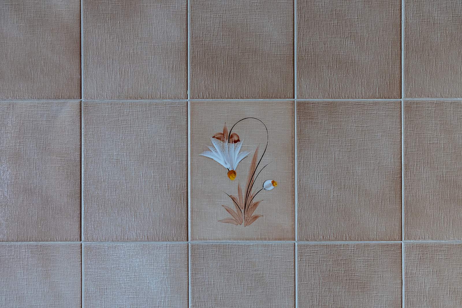 Image_, Maison, Saint-Palais, ref :-298-1-