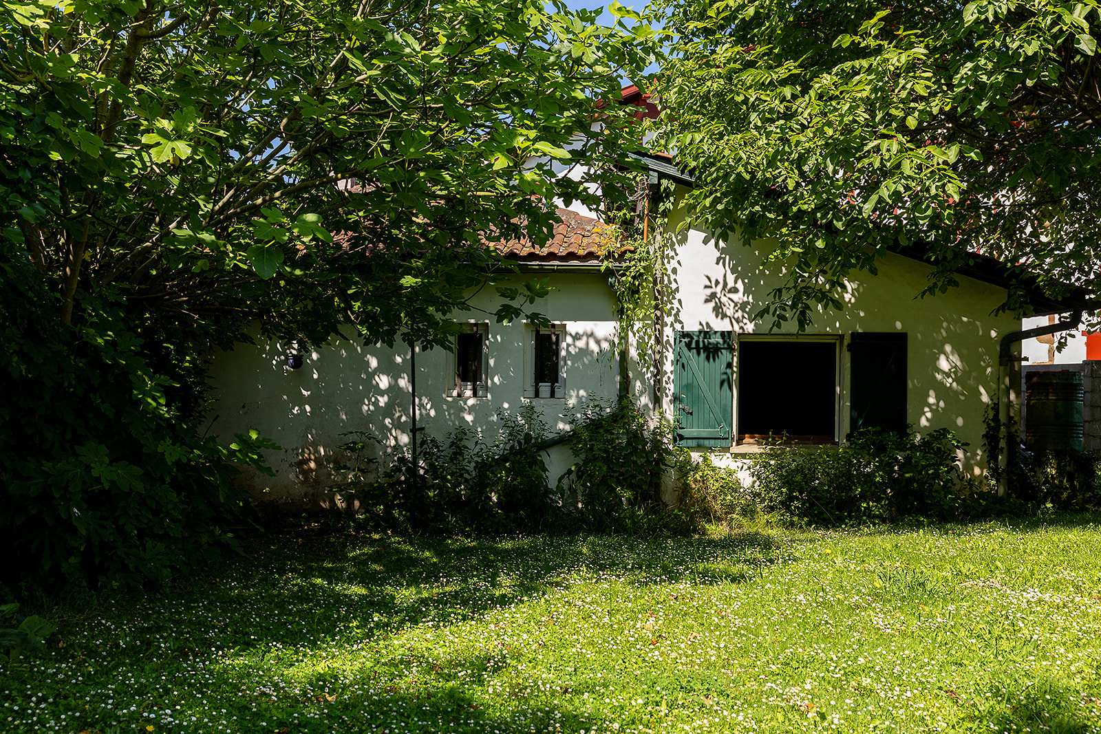 Image_, Maison, Arraute-Charritte, ref :-293-