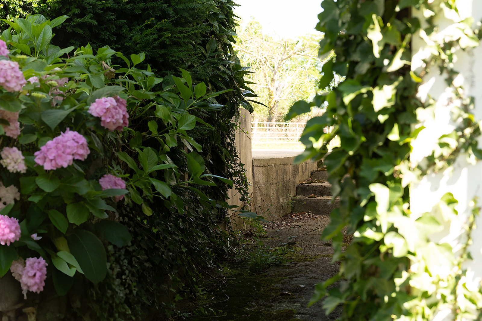 Image_, Maison, Arraute-Charritte, ref :-293-