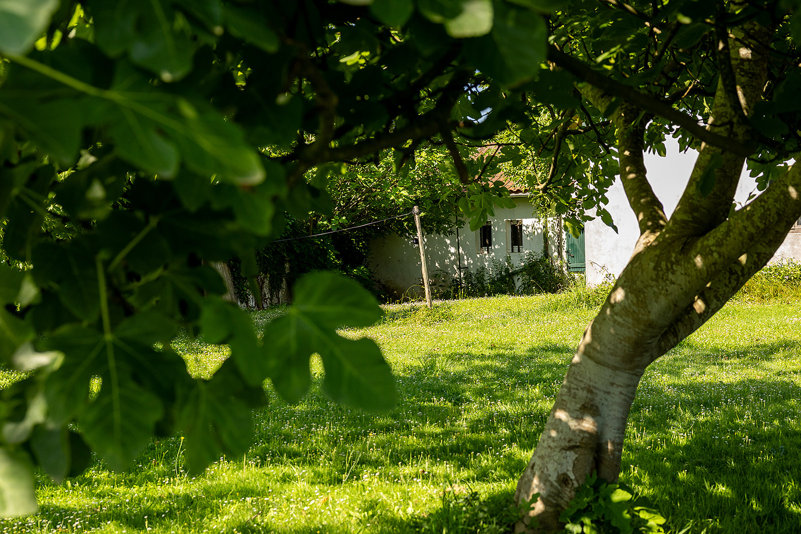 Image_, Maison, Arraute-Charritte, ref :-293-