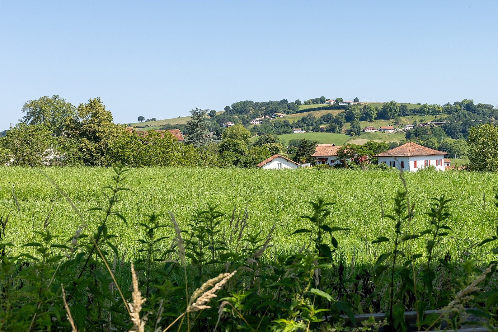 Image_, Maison, Arraute-Charritte, ref :-293-