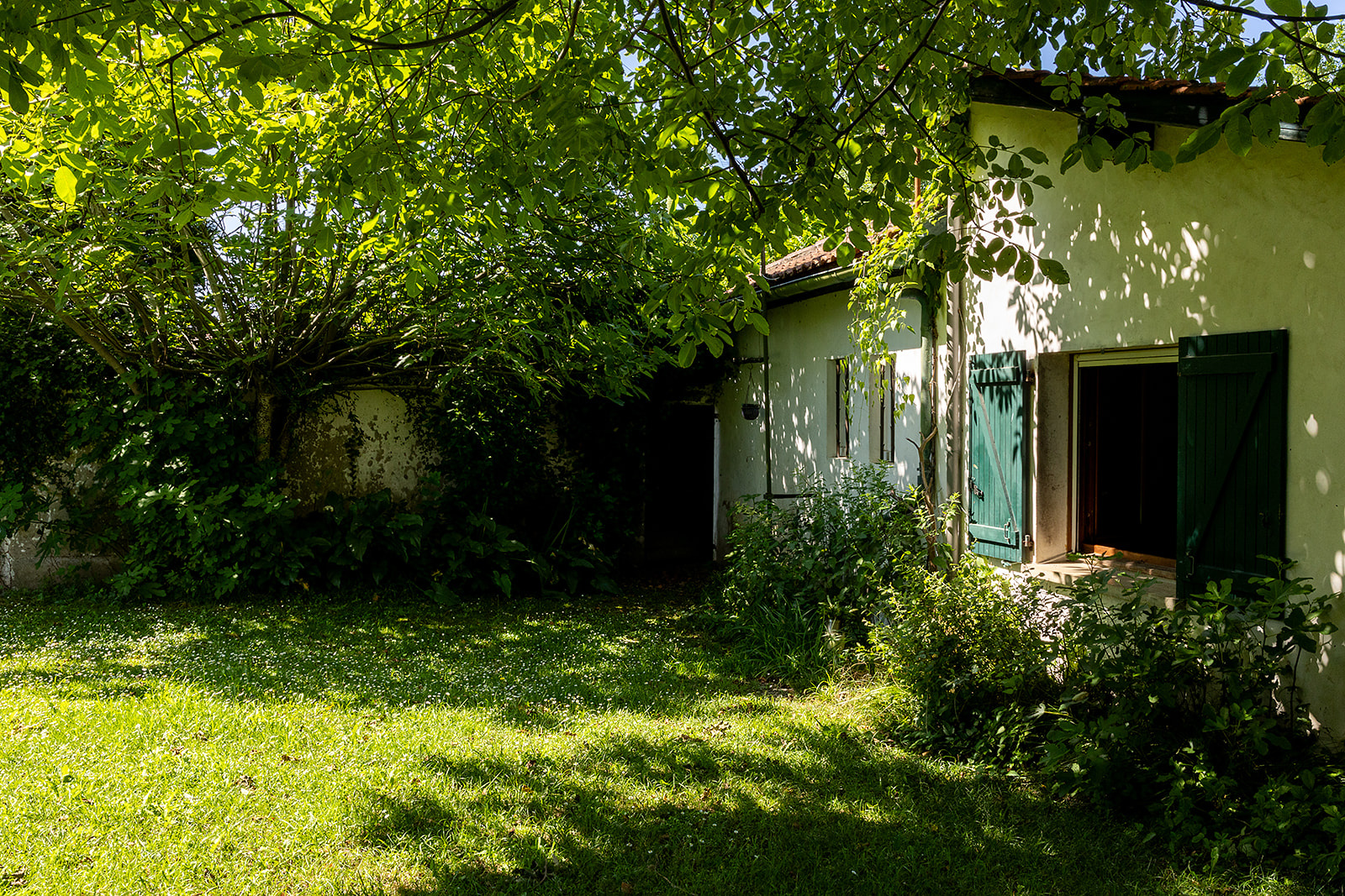 Image_, Maison, Arraute-Charritte, ref :-293-
