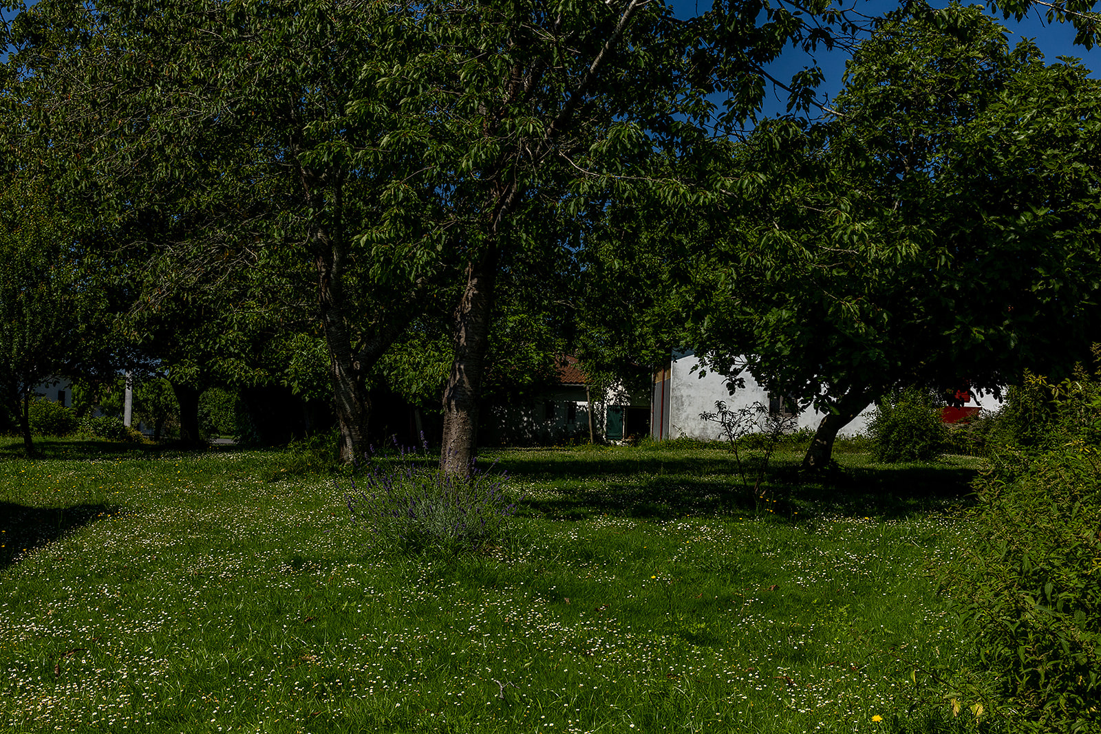 Image_, Maison, Arraute-Charritte, ref :-293-