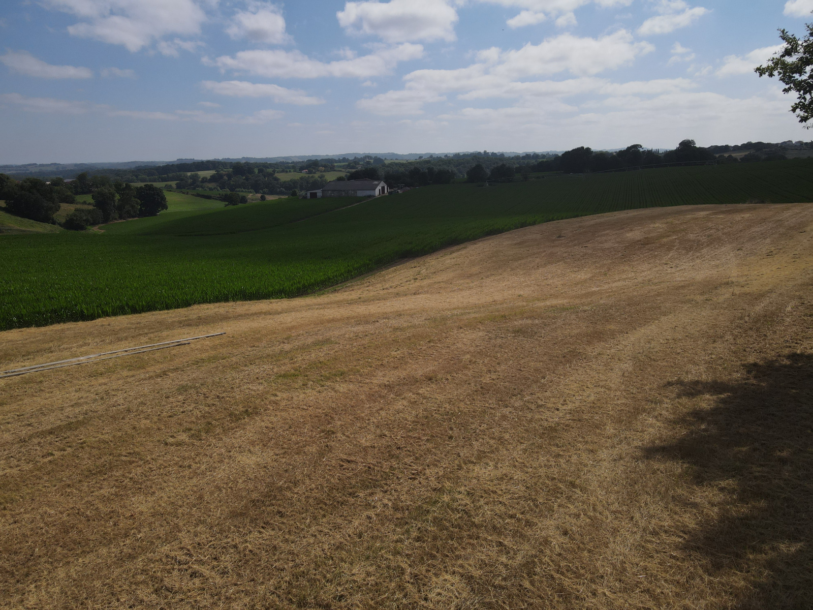 Image_, Terrain à batir, Luxe-Sumberraute, ref :-300-