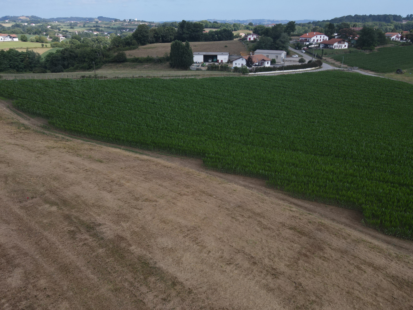 Image_, Terrain à batir, Luxe-Sumberraute, ref :-300-