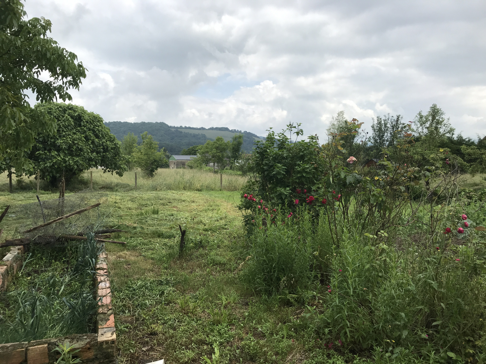 Image_, Maison, Saint-Palais, ref :308