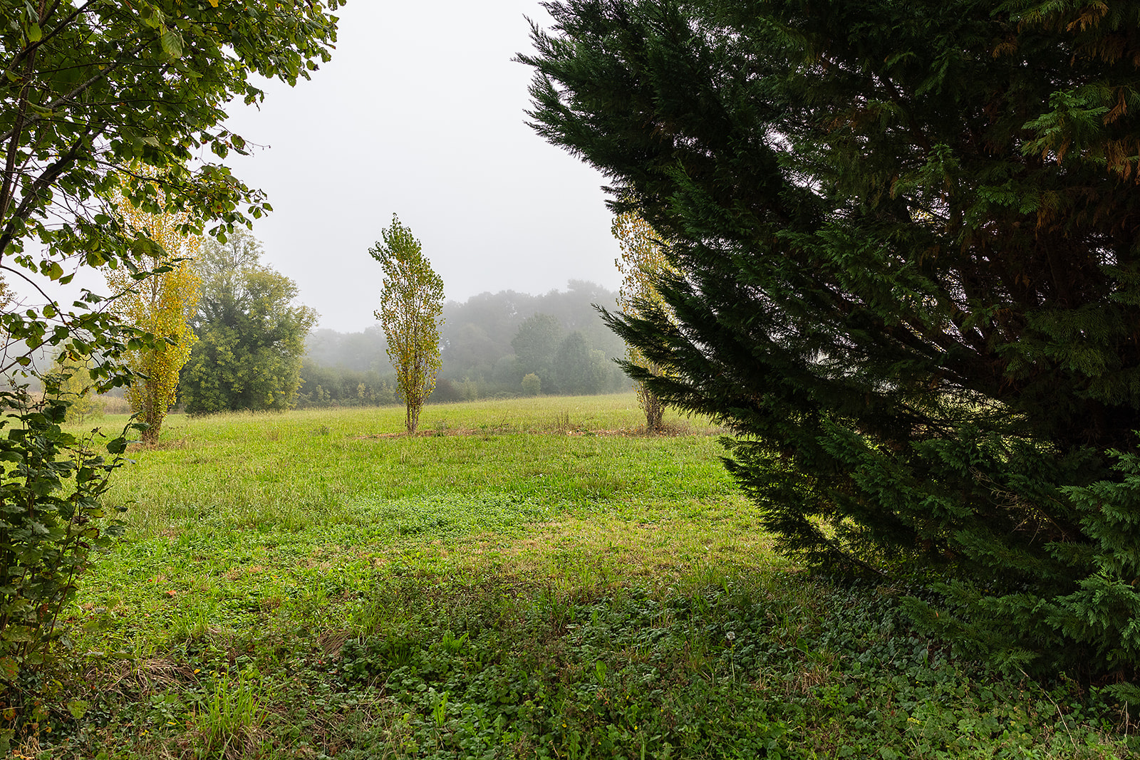 Image_, Maison, Saint-Palais, ref :308