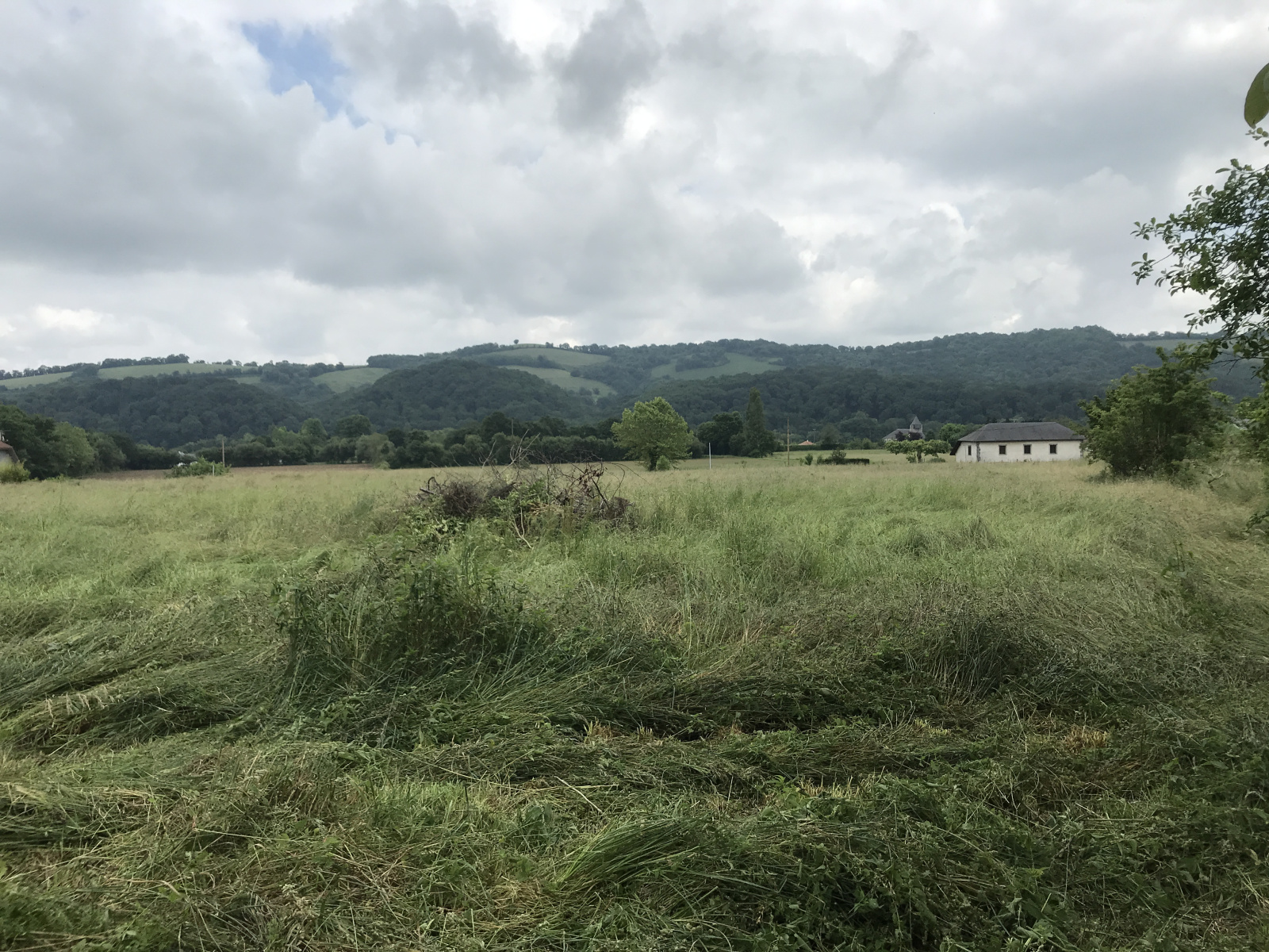 Image_, Maison, Saint-Palais, ref :308