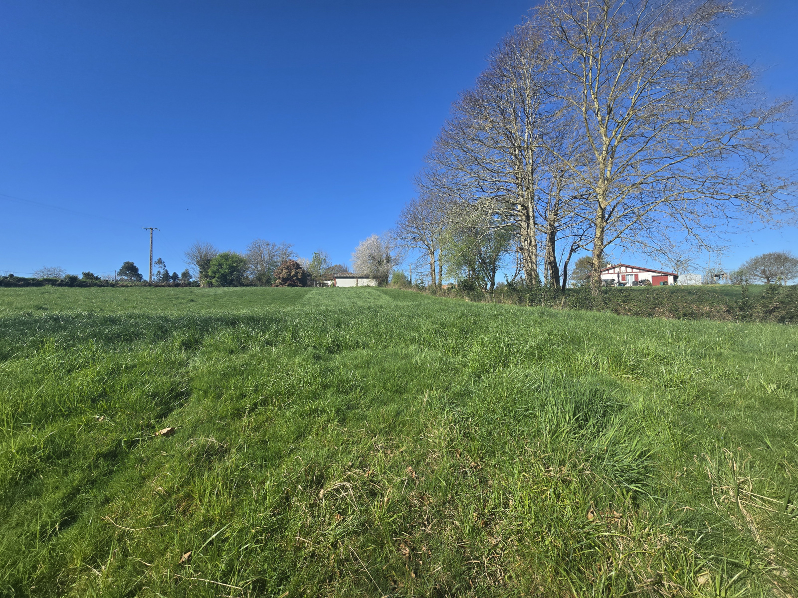Image_, Terrain, Saint-Palais, ref :285-HASIERA