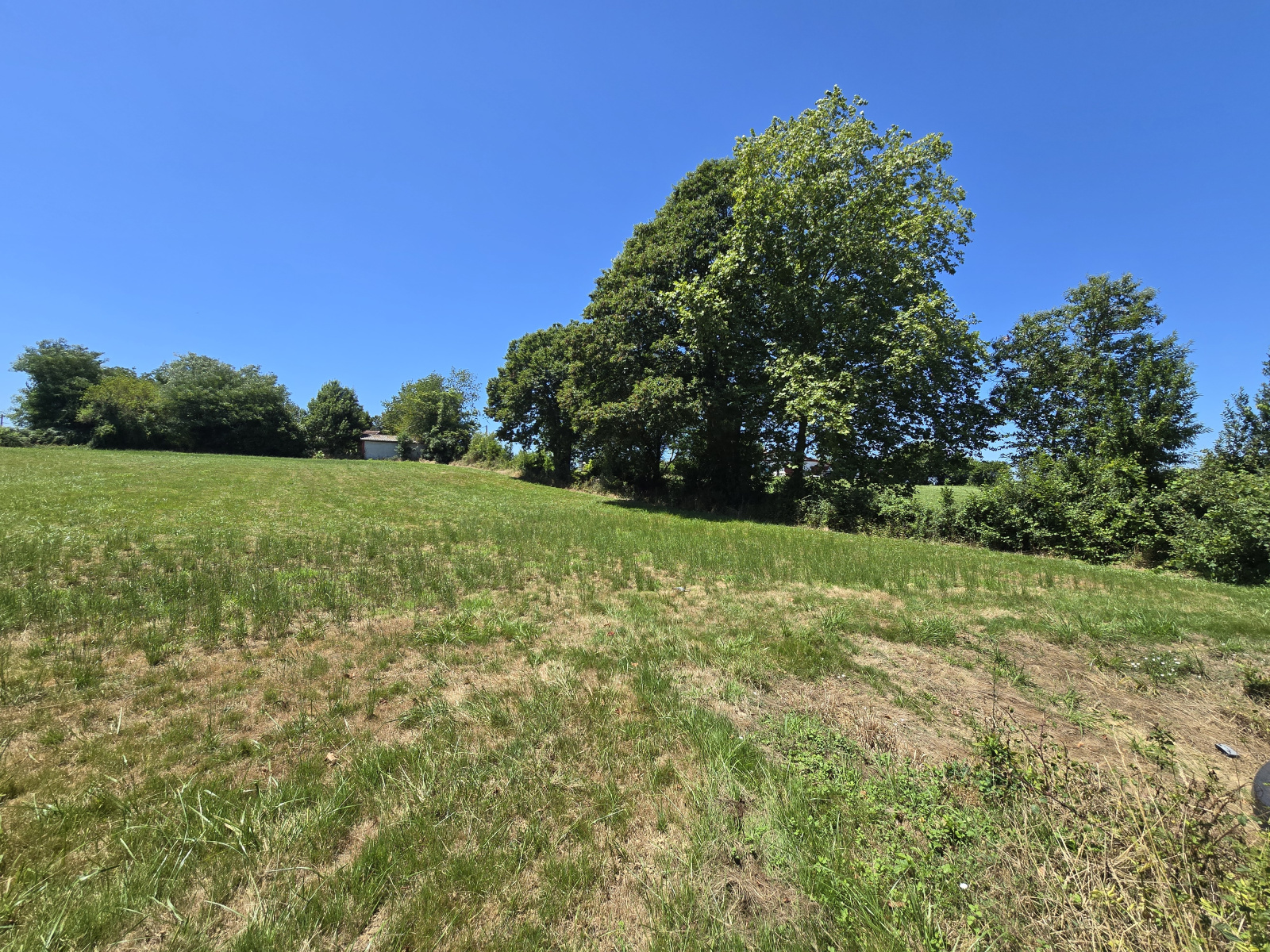 Image_, Terrain, Saint-Palais, ref :285-HASIERA