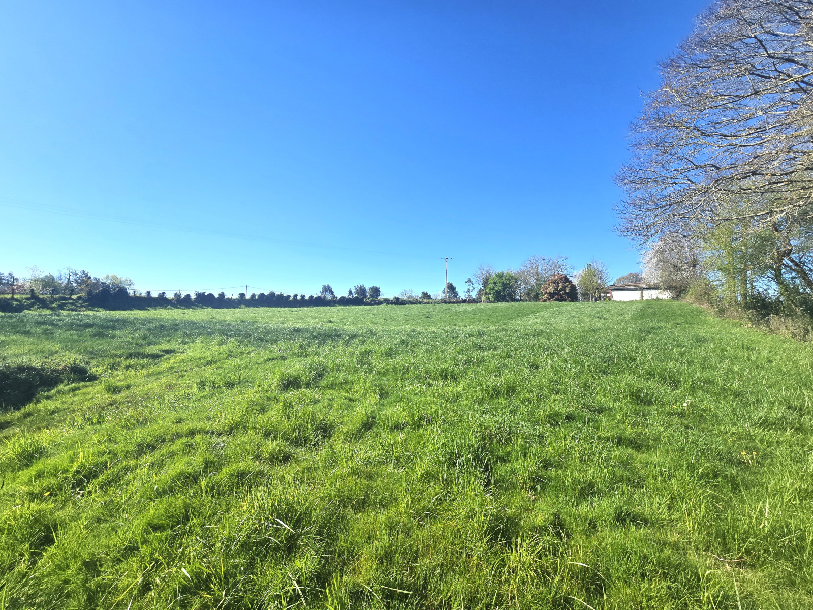 Image_, Terrain, Saint-Palais, ref :285-HASIERA