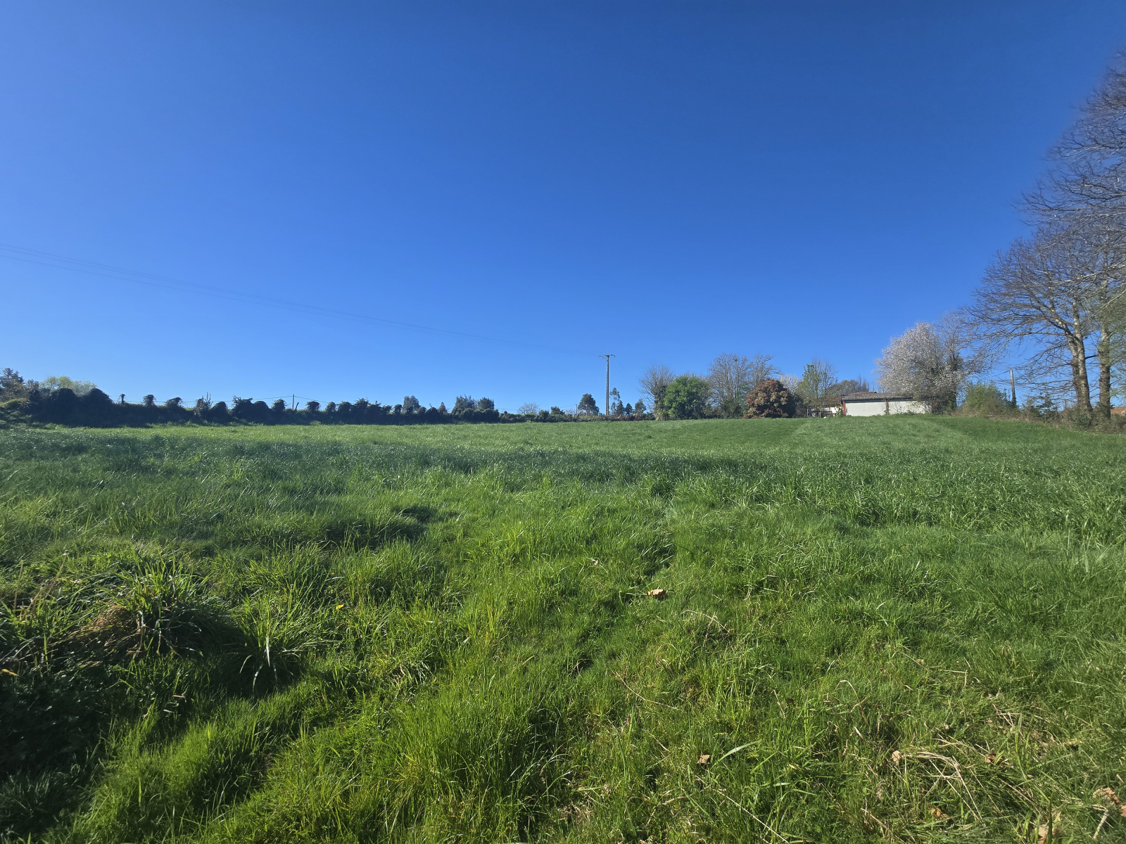 Image_, Terrain, Saint-Palais, ref :285-HASIERA