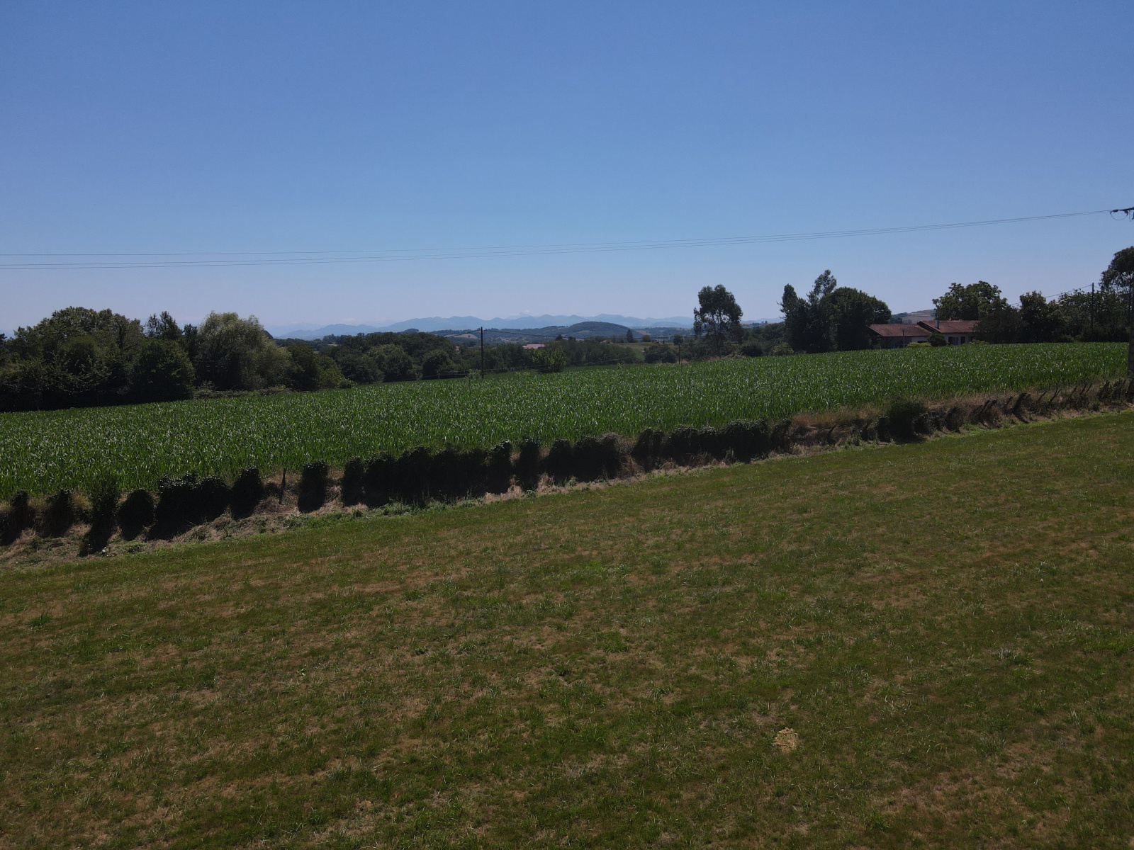 Image_, Terrain, Saint-Palais, ref :285-HASIERA