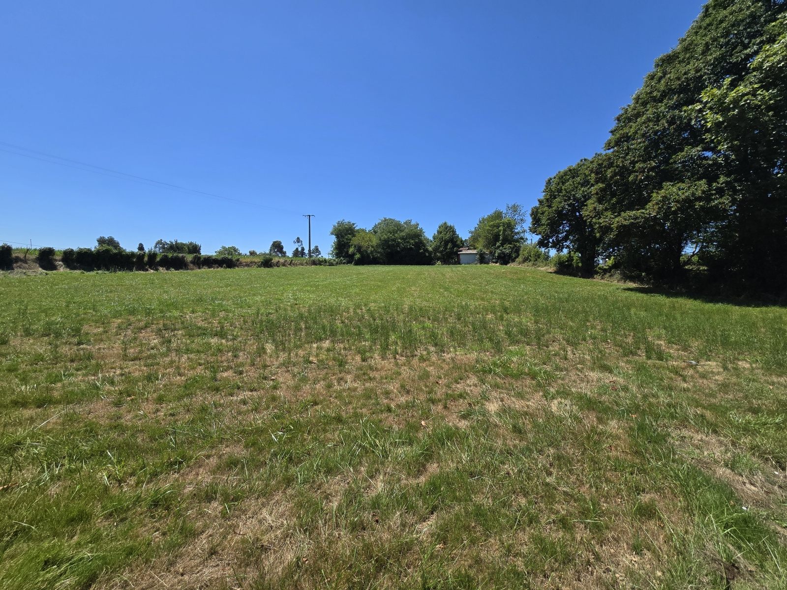 Image_, Terrain, Saint-Palais, ref :285-HASIERA