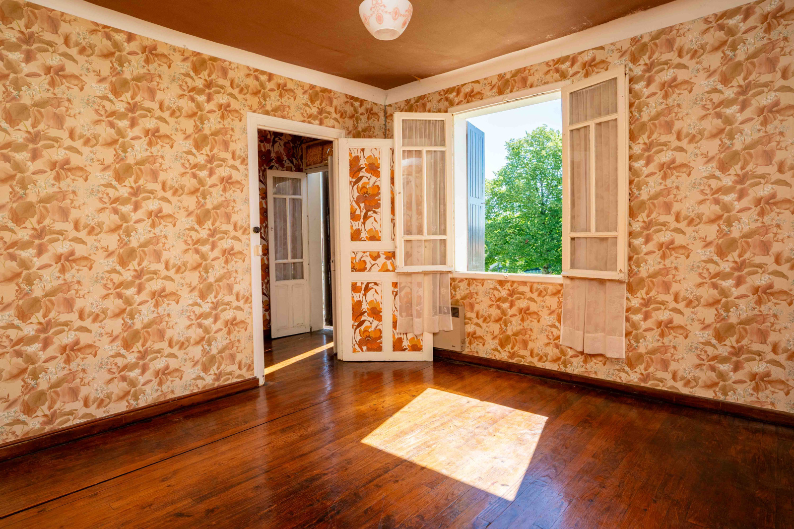 Image_, Maison, Saint-Palais, ref :Ortzia-296