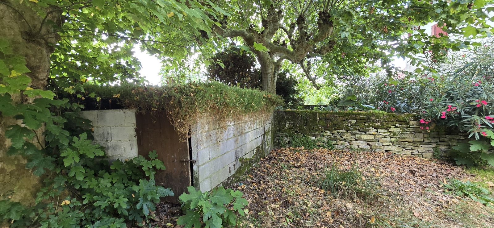 Image_, Maison, Saint-Palais, ref :- 0289 -
