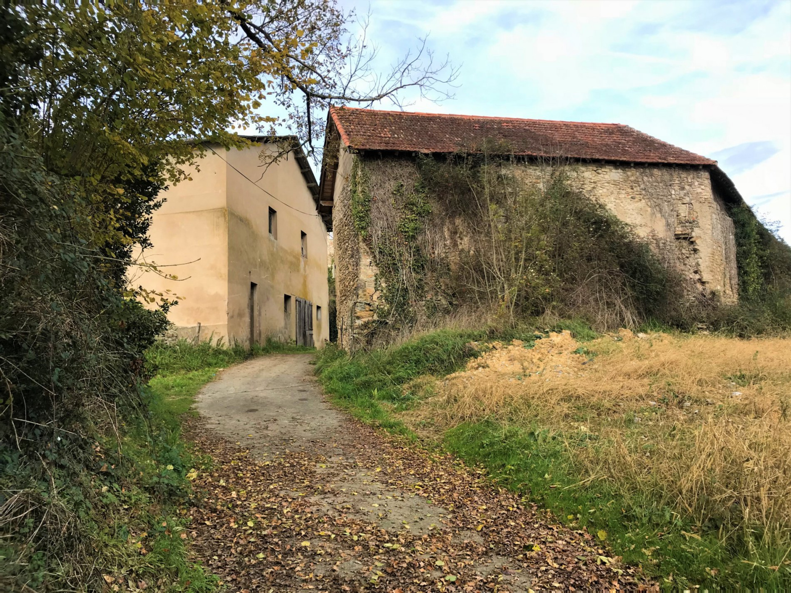 Image_, Maison, Sauveterre-de-Béarn, ref :6209