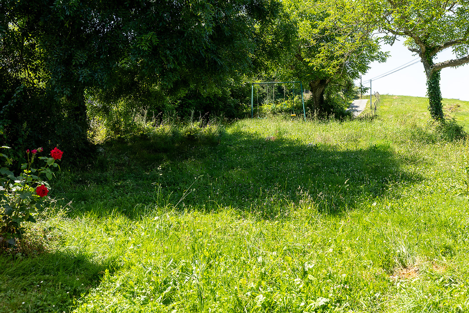 Image_, Maison, Saint-Palais, ref :-294-