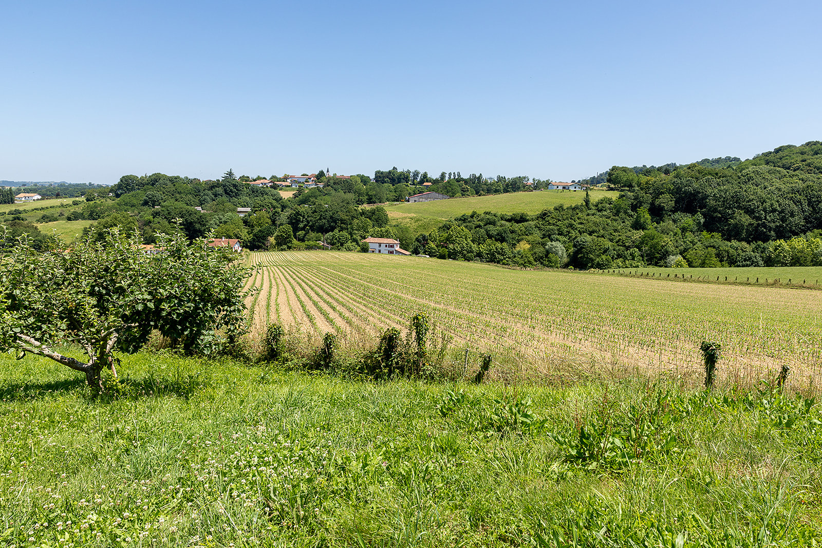 Image_, Maison, Saint-Palais, ref :-294-