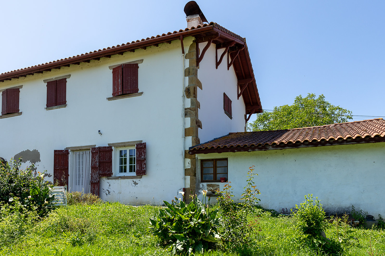Image_, Maison, Saint-Palais, ref :-294-