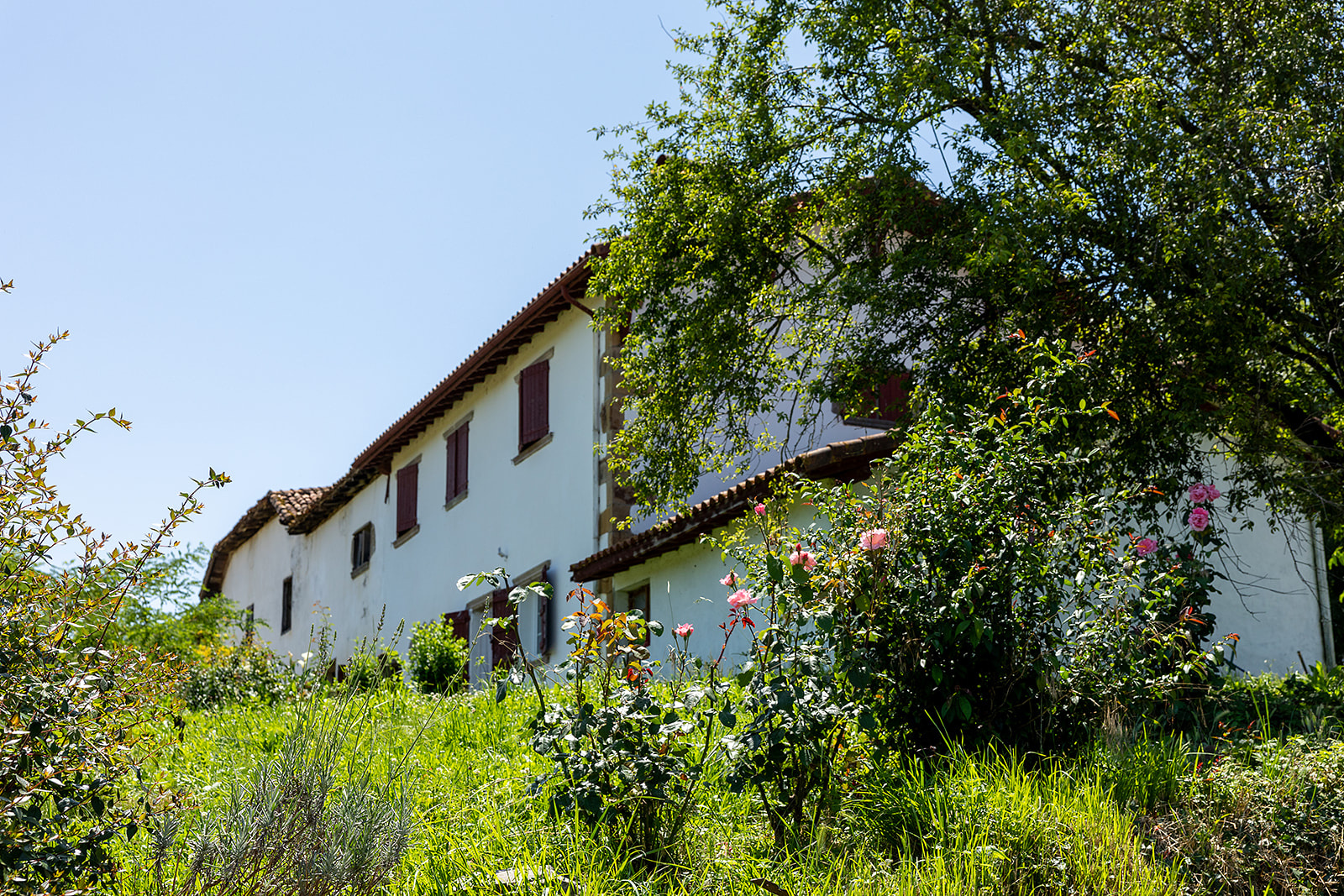 Image_, Maison, Saint-Palais, ref :-294-