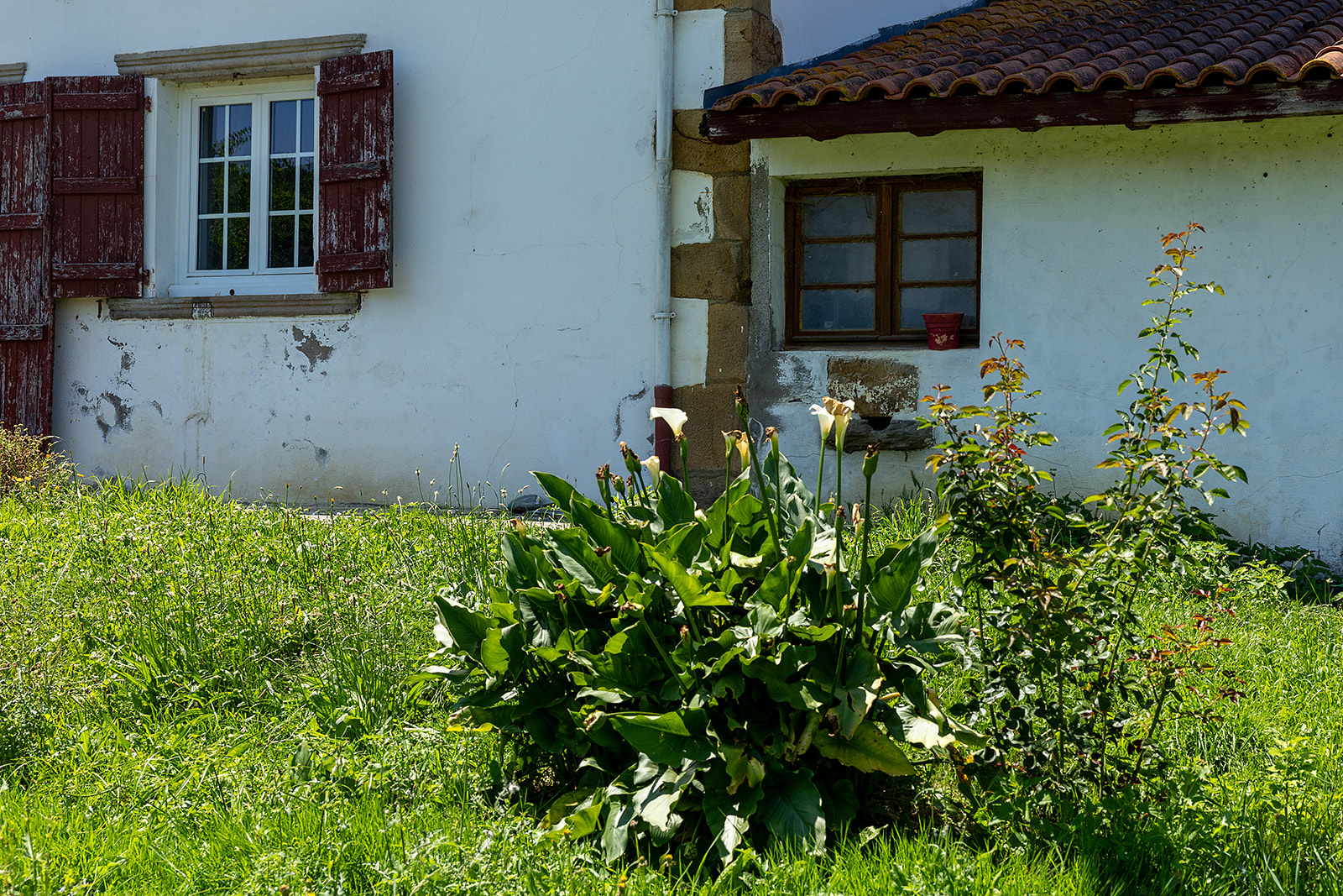 Image_, Maison, Saint-Palais, ref :-294-