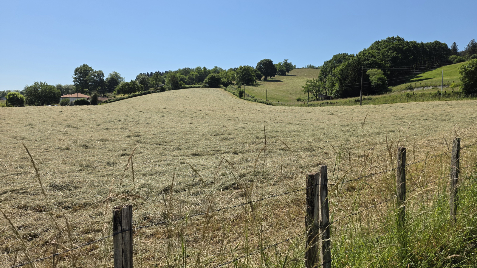 Image_, Terrain, Saint-Palais, ref :Sardasse-TAB