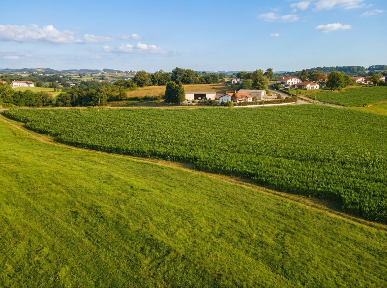 Image_, Terrain, Luxe-Sumberraute, ref :299