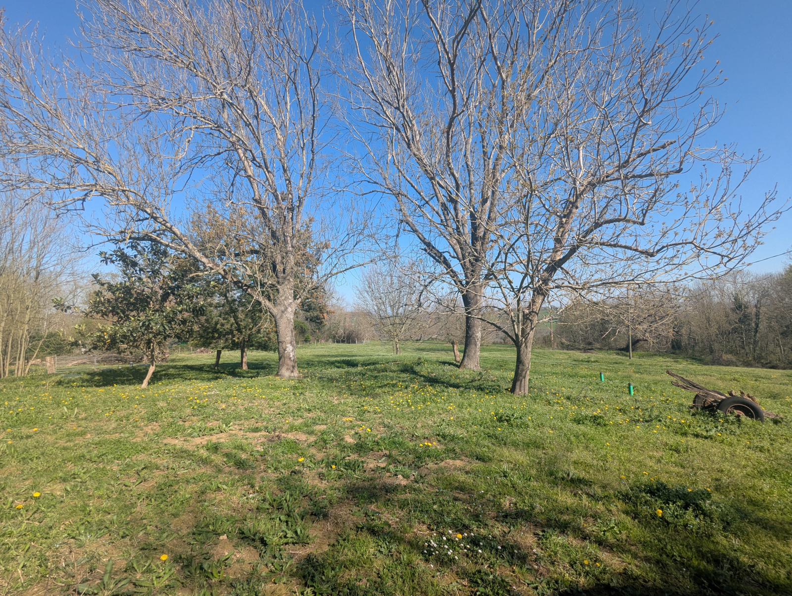 Image_, Maison, Orsanco, ref :G-504