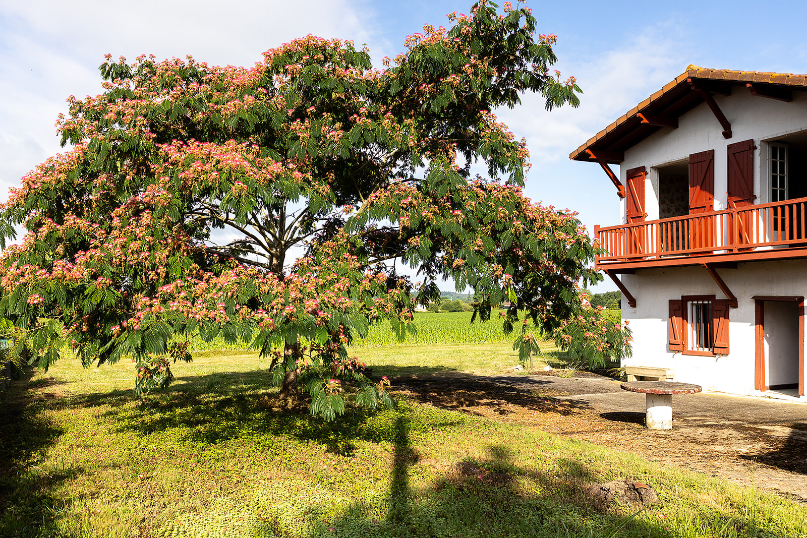 Image_, Maison, Sauveterre-de-Béarn, ref :-301-01-