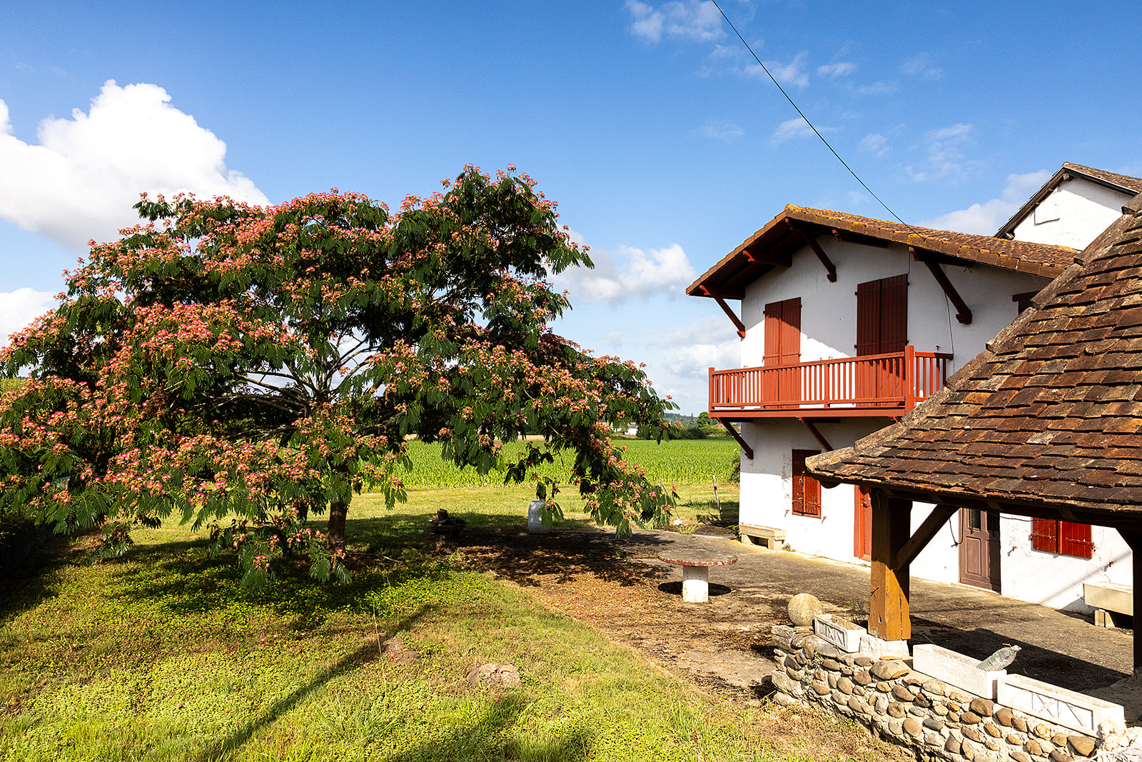 Image_, Maison, Sauveterre-de-Béarn, ref :-301-01-