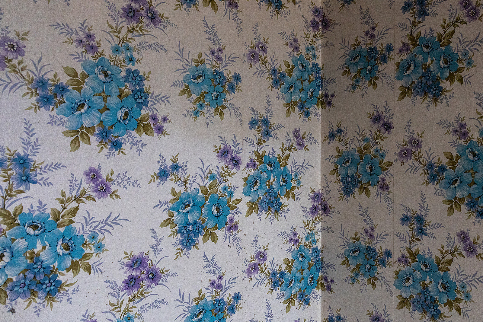 Image_, Maison, Sauveterre-de-Béarn, ref :-301-01-