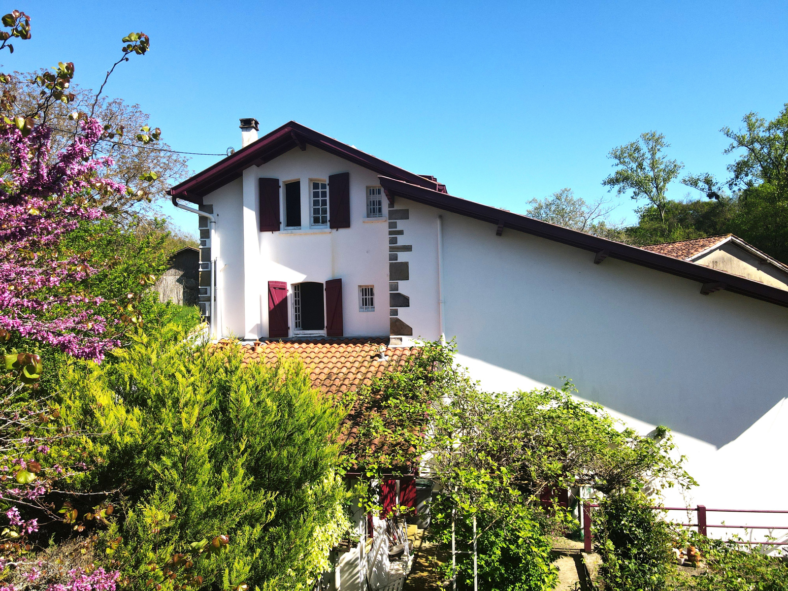 Image_, Maison, Saint-Palais, ref :246-INDARRA