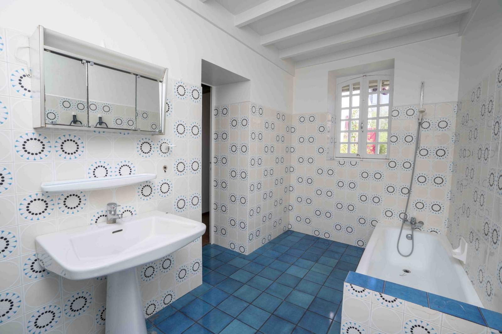 Image_, Maison, Saint-Palais, ref :246-INDARRA